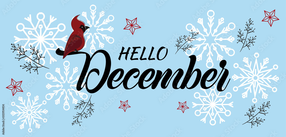 Poster, Foto Hello December seasonal vector illustration, Carla Nichiata - Koop op EuroPosters.be
